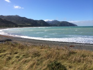IMG_3103